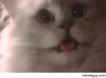 MRW I go to the bathroom the morning after I ate Chipotle