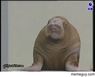 MRW I have AdBlock and Twitch says We had trouble loading this ad for you