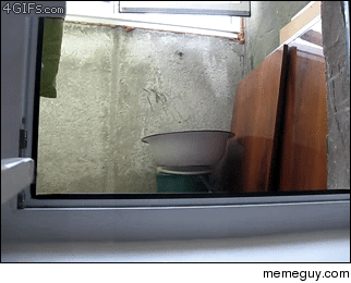 MRW I hear my hot neighbors car pulling into her driveway