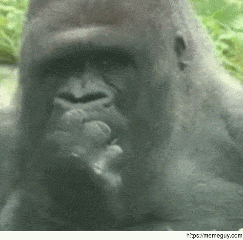MRW I hear my son blame his brother for takingeating the last apple which was his