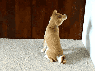 MRW I hear someone talk some shit behind me