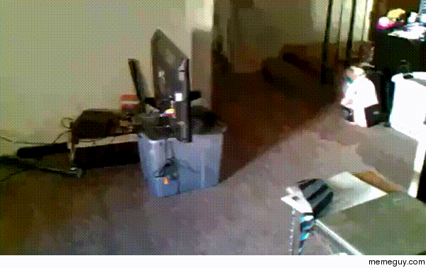 MRW I hear the garage door opening and I was already supposed to have been in bed