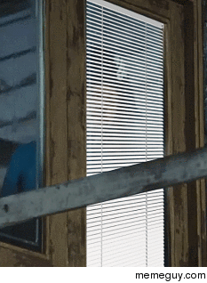 MRW I hear the neighbors fighting outside and I dont want them to know I am looking