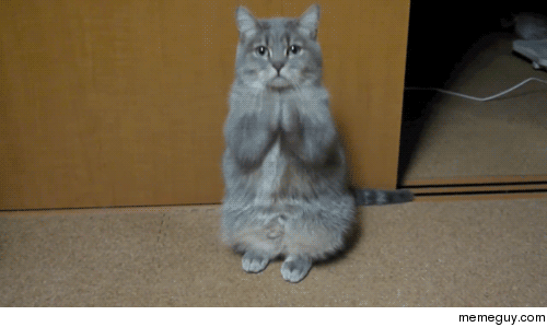 MRW I just finished watching Firefly for the first time And I think about past  years of FOX