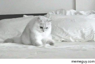 MRW I lay down in bed and cant find my phone