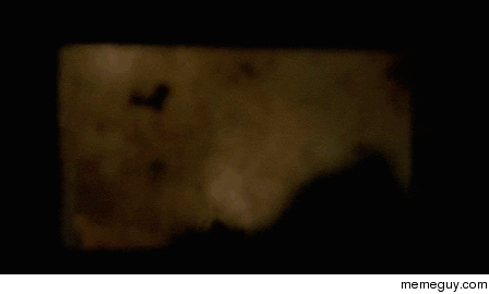 MRW I leave anything in the microwave too long