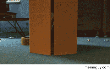 MRW I leave the restroom at work after taking a massive dump