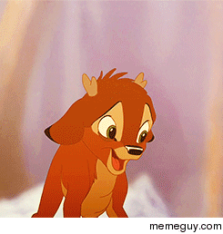 MRW I make a pun in front of absolutely anybody