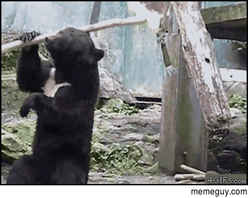 MRW I multiclass druid and monk