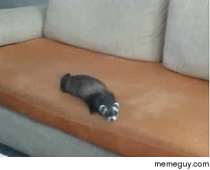 MRW I post something that I was sure that it would make it to the front page and got nowhere near it