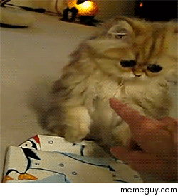 MRW I realise its too late to order pizza