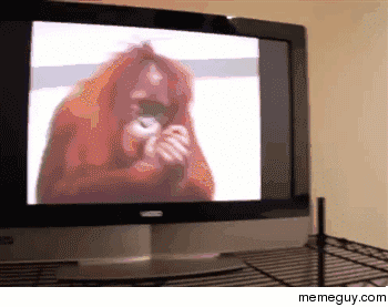 MRW I remember the correct answer to a question after I walk out of the test