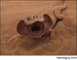 MRW I say something extremely stupid around my friends