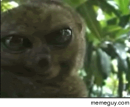MRW I see more than  upvotes on my post