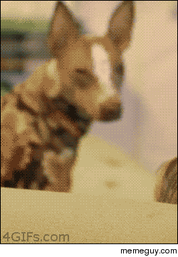 MRW I see somebody recording a video