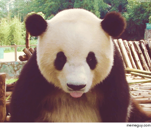 MRW I see the waiter bringing my food