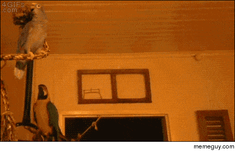 MRW I show my friends that listen to country some death metal