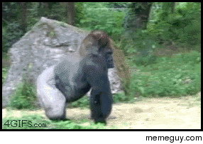 MRW I start my morning on reddit by browsing rWTF