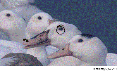 MRW I steal a star from my cousin in Mario Party 