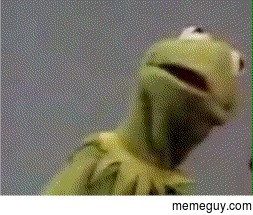 MRW I think Ive found a new favourite band but it turns out they only have one good song