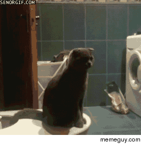 MRW I think my food is coming at a restaurant and it turns out its for the next table over
