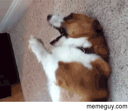 MRW I think of a good joke in response to a comment