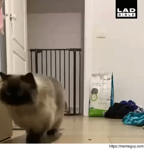 MRW I use my awkwardness leave an awkward situation