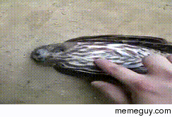 MRW I wake up and realize Im late