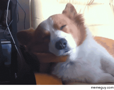 MRW I wake up from a nap and remember that I had a pizza in the oven