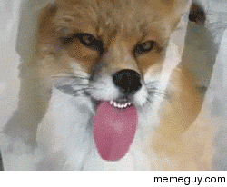 MRW I watch the cooking network