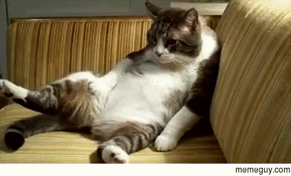 MRW Im debugging and it still doesnt work