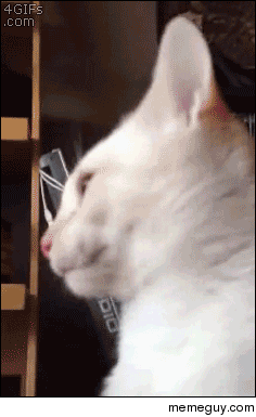 MRW Im eating a tootsie pop and lose count of how many licks Im at