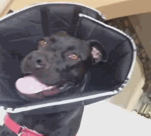MRW Im having a good day but then remember something really awkward I once did