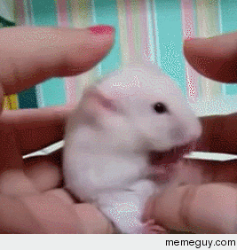 MRW Im home alone and hear a weird noise