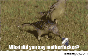 MRW Im in a hurry and the person at the cashier says they want to write a check 