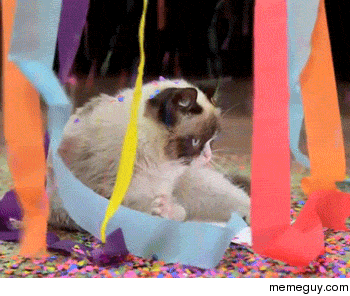 MRW Im the th visitor to this site
