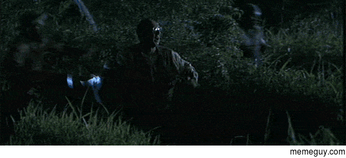 MRW Im walking with my dog and I remember its tick season
