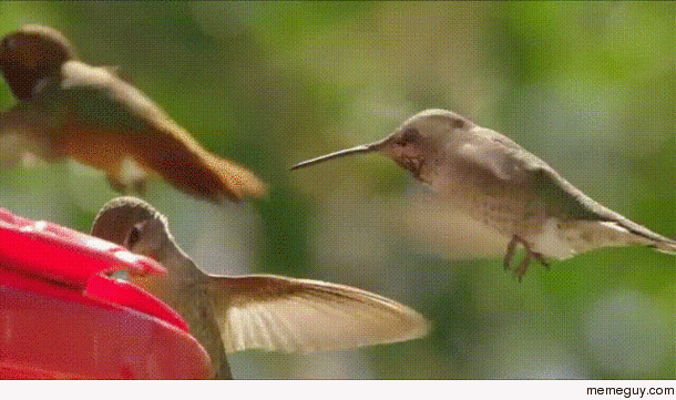 MRW its Friday at  and someone is blocking the time punch