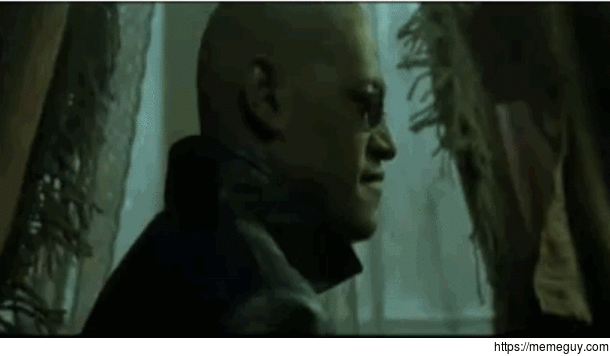 MRW Matrix gifs have become relevant again - Meme Guy