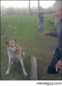 MRW meeting ALL of my GFs family for the first time today