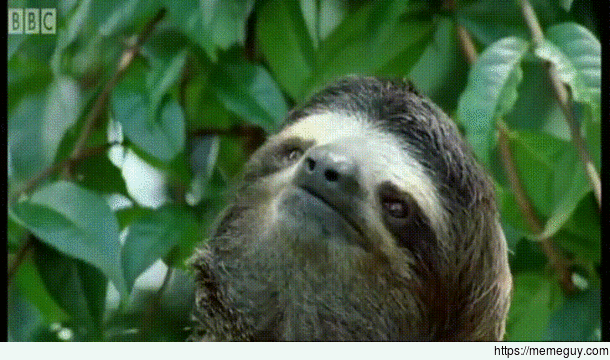 MRW my alarm goes off in the morning