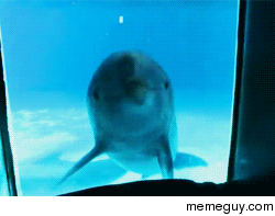 MRW my boss told me to go home  hours early with pay