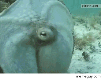 MRW my boss wants to know who took this customers order incorrectly