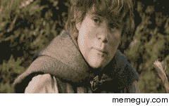 MRW my boy asks me what his party needs