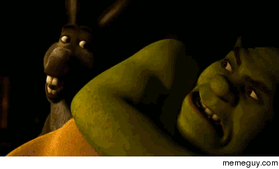MRW my friend and I suddenly realize the acid is kicking in