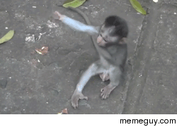 MRW my friend has a bad day