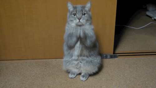MRW my friend put solo cups in the dishwasher