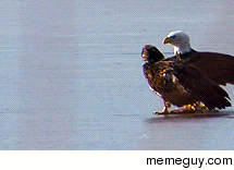 MRW my friends are talking about things that I do not understand but want to enter the conversation anyway