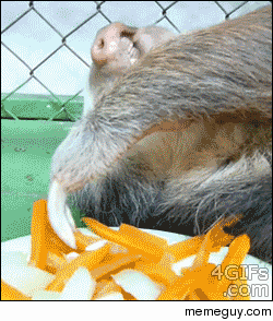 MRW my friends ask me what Im doing this weekend