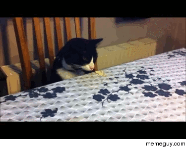 MRW my friends wanna go out to eat and suggest McDonalds